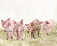 This Little Piggie? Fine Art Print