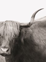 Haircut Needed Fine Art Print