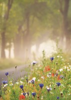 Bee Pleasure Fine Art Print