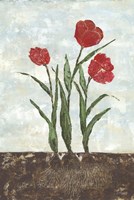 Red Tulips Fine Art Print