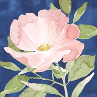 Indigo Petals IX Framed Print