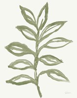 Nature in Sage II Framed Print