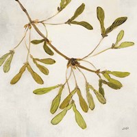 Maple Branch Crop Framed Print