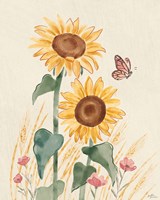 Sunflower Season VIII Bright Fine Art Print