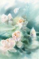 Water Lily II Fine Art Print