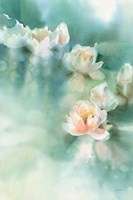Water Lily I Fine Art Print