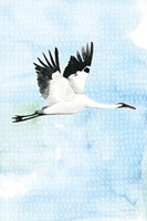 Crane in Flight I Framed Print