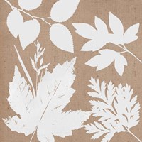 Leaves of Inspiration I Neutral Framed Print