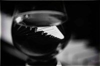 Night Vibes BW Fine Art Print