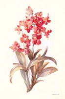 Autumn Orchid I Framed Print