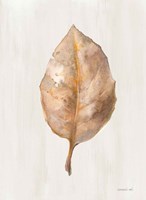 Fallen Leaf II Texture Fine Art Print