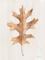 Fallen Leaf I Texture Framed Print