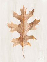Fallen Leaf I Texture Fine Art Print