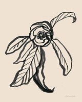 Ink Sketch Flower Fine Art Print