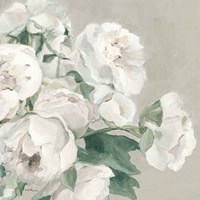 Peonies on Gray Flipped Crop Fine Art Print