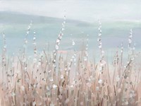 Coastal Morning Blooms Fine Art Print