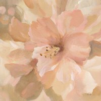 Sweet Boho Flower II Framed Print