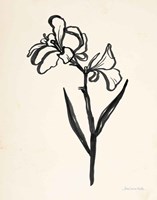 Ink Flower II Cream Fine Art Print