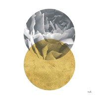 Blossoms I Gold Framed Print