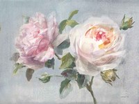 Light Lovely Roses Fine Art Print