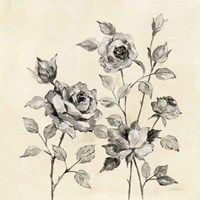 Spring Graphic Floral Fine Art Print