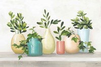 Plant Life IV Colorful Fine Art Print