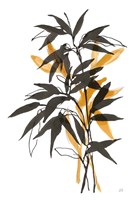 Amber Long Leaf II Fine Art Print