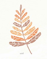 Botanical Sketches II Spice Fine Art Print