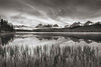 Little Redfish Lakeshore Fine Art Print