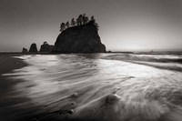 Little James Island Fine Art Print