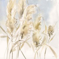 Pampas Grasses Fine Art Print