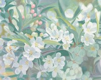 Blossoms Fine Art Print