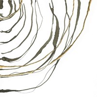 Not Quite Concentric IV Fine Art Print