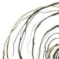 Not Quite Concentric I Framed Print