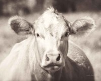 Pasture Cow Neutral Fine Art Print