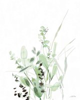Grasses II Fine Art Print