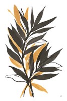 Amber Palm IV Fine Art Print