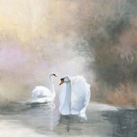 Swans in Mist Fine Art Print