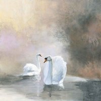 Swans in Mist Framed Print