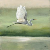 Flight Fine Art Print