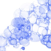 Bubble Square Blue II Fine Art Print