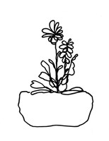 Hand Sketch Flowerpot II Framed Print