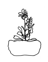 Hand Sketch Flowerpot II Fine Art Print