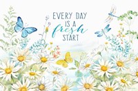 Daisy Days I Fine Art Print