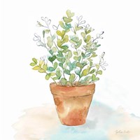 Let it Grow IX Framed Print