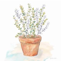 Let it Grow XI Framed Print