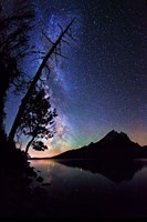 Stars over Jenny Lake Fine Art Print