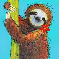 Sloth Fine Art Print