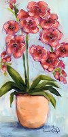 Orchids Fine Art Print