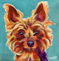 Yorkie - Snookie Fine Art Print